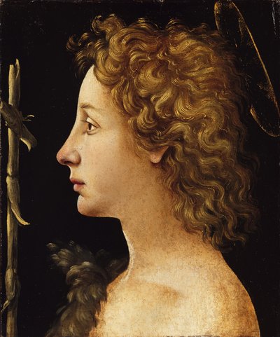 Az ifjú Keresztelő Szent János (tempera és olaj, fa) alkotó: Piero di Cosimo