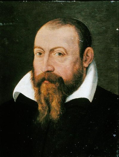 Jacques Dalechamps (1513-88) (olaj, panel) alkotó: Pierre (attr. to) Eskrich