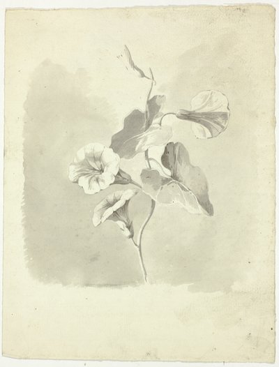 Reggeli dicsőség alkotó: Pierre Antoine Mongin