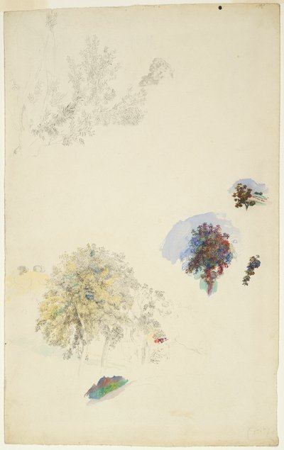 Fák és lombozat tanulmányozása alkotó: Pierre Auguste Renoir