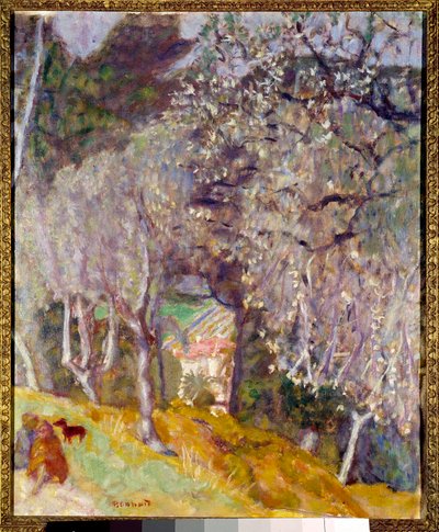 Ház az olajbogyókban alkotó: Pierre Bonnard