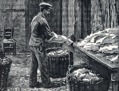 Bőr: nyúlbőr hasítása bőr készítéséhez Gravírozás a Pierre Calmette magángyűjtemény „Excursion a travers les metiers” című könyvéből alkotó: Pierre Calmettes
