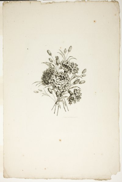 Csokor szegfűvel, a Különféle virágcsokrok gyűjteményéből, Jean Pillement találta ki és rajzolta, és P. C. Canot gravírozta alkotó: Pierre Charles Canot