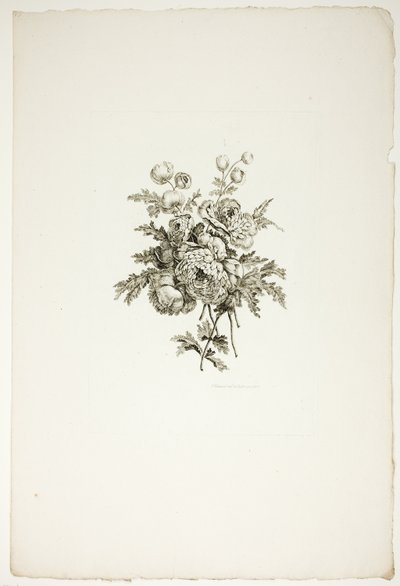Bazsarózsás csokor, a Jean Pillement által kitalált és rajzolt, P. C. Canot által metszett különböző virágcsokrok gyűjteményéből. alkotó: Pierre Charles Canot