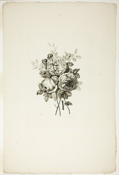 Csokor rózsákkal, a Különféle virágcsokrok gyűjteményéből, Jean Pillement találta ki és rajzolta, és P. C. Canot gravírozta alkotó: Pierre Charles Canot