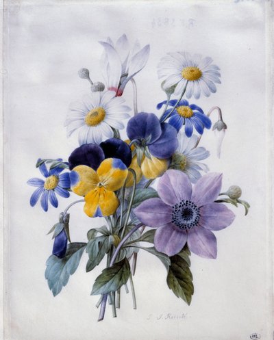 Egy csokor virág: klematit, gondolat, százszorszép és ciklámen. Pierre Joseph Redoute (1759-1840) akvarellje 19. századi nap. 0,19x0,18 m. Párizs, Louvre Múzeum alkotó: Pierre Joseph Redouté