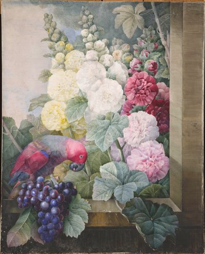 Hollyhocks, szőlő és egy papagáj, 1836. alkotó: Pierre Joseph Redouté