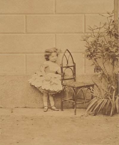 Még mindig a rusztikus szék, 1860-as évek. alkotó: Pierre Louis Pierson