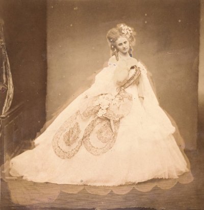 A Bisi. Budoár, szürke bársonyruha, rózsaszín moire, rózsaszín virágok, szürke levelei a mai,..., 1860-as évek. alkotó: Pierre Louis Pierson