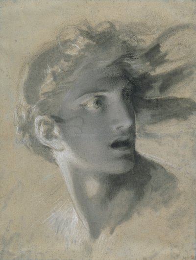 A bosszúállás feje alkotó: Pierre Paul Prud
