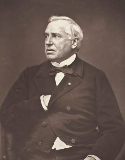 Nelaton, c. 1876. alkotó: Pierre Petit