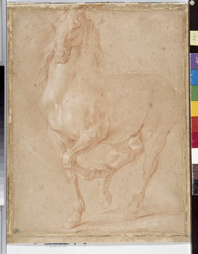 Lótanulás (sangvinikus) alkotó: Pierre Puget