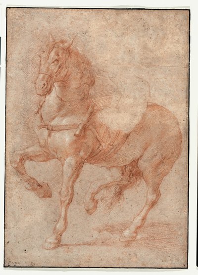 Bucephalus tanulmánya az "Alexander és Diogenész" reliefhez alkotó: Pierre Puget