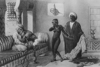 Egy fiatal lány Timbuktooból, akit egy rabszolgamester kínált fel Tripoliban 1854-ben, a "Voyages au Soudan et dans L"Afrique Septentrionale"-ből, A. Adam metszet, 1850 alkotó: Pierre Tremaux