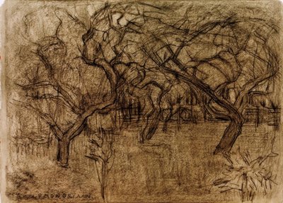 Gyümölcsöskert alkotó: Piet Mondrian