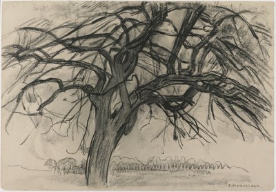 Előzetes tanulmány estére: A vörös fa, 1908 (fekete zsírkréta és faszén papíron) alkotó: Piet Mondrian