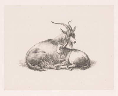 Bak és egy kecske alkotó: Pieter Bartholomeusz. Barbiers