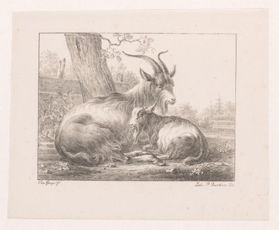 Kecske és kecske a tájban alkotó: Pieter Bartholomeusz. Barbiers
