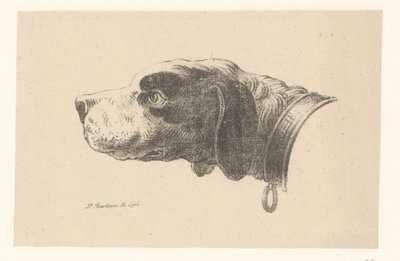 Kutyafej nyakörvvel alkotó: Pieter Bartholomeusz. Barbiers