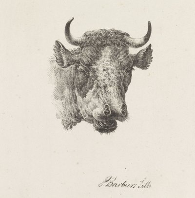 Bikafej alkotó: Pieter Bartholomeusz. Barbiers