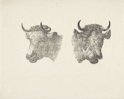 Két bikafej alkotó: Pieter Bartholomeusz. Barbiers