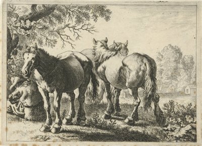 Három ló és egy gazda Különböző állatok (sorozat címe) alkotó: Pieter Bodding van Laer