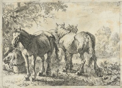 Három ló és egy gazda Különböző állatok (sorozat címe) alkotó: Pieter Bodding van Laer