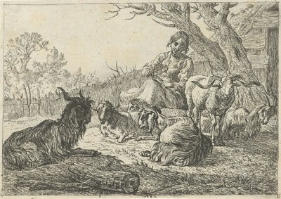 Pásztorlány kecskék és juhok között Különböző állatok (sorozat címe) alkotó: Pieter Bodding van Laer