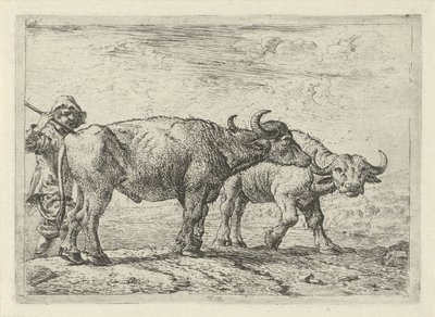 Két bivaly és egy juhász Különböző állatok (sorozat címe) alkotó: Pieter Bodding van Laer