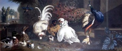 Páva, csirkék, kacsák és jégmadár alkotó: Pieter Casteels