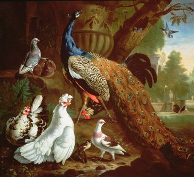 Páva klasszikus tájban, 1719 alkotó: Pieter Casteels