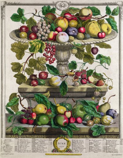 Június, a "Tizenkét hónap gyümölcsök" című művéből, Robert Furber (kb. 1674-1756), metszett Henry Fletcher, 1732 (színes metszet) alkotó: Pieter Casteels
