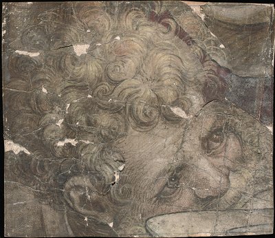 Egy szakállas férfi feje felfelé néz alkotó: Pieter Coecke van Aelst