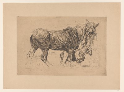 Tanulmányi lap két lóval alkotó: Pieter Dupont