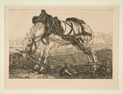 Munkaló alkotó: Pieter Dupont