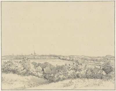 Kilátás Haarlemre, a dűnékről nézve alkotó: Pieter Ernst Hendrik Praetorius