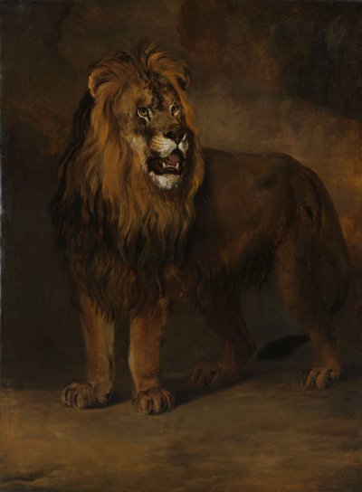 Egy oroszlán Lajos Napóleon király menazsériájából, 1808 alkotó: Pieter Gerardus van Os