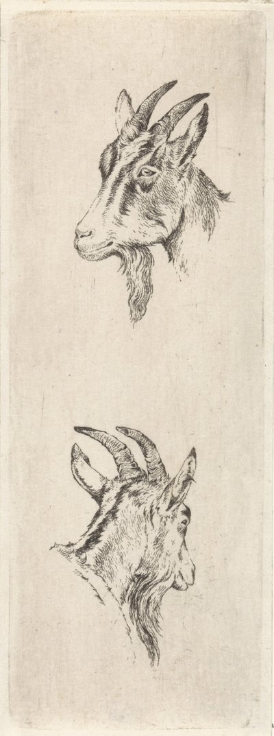 kecskefej alkotó: Pieter Janson