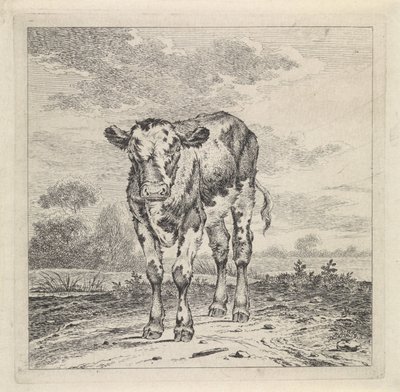 Táj borjúval alkotó: Pieter Janson