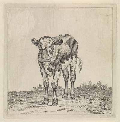 Táj borjúval alkotó: Pieter Janson