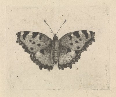 Pillangó alkotó: Pieter Lyonet