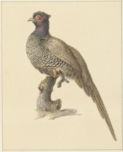 Fácán vadászat alkotó: Pieter Pietersz. Barbiers