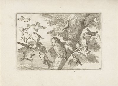 Uil en andere vogels in boom Különböző madarak (sorozat címe) Különböző madarak legtökéletesebb figurái (...) (sorozat címe) alkotó: Pieter Schenk (I) (attributed to)