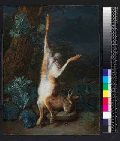 Egy döglött nyúl, 1782 előtt alkotó: Pieter Snyers