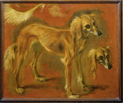 A greyhound (festmény vászonra) alkotó: Pieter or Peter Boel