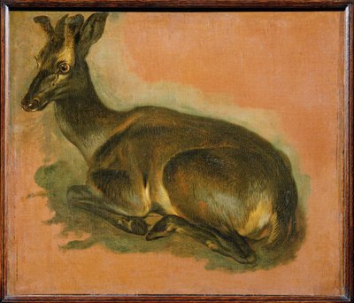 Szarvas, fekvő (festmény vászonra) alkotó: Pieter or Peter Boel