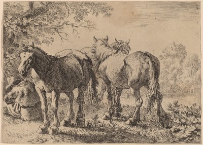 Három ló egy mezőn alkotó: Pieter van Laer