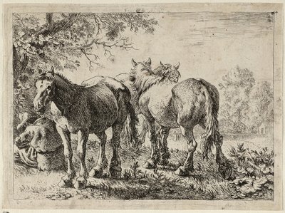 Három ló a mezőn alkotó: Pieter van Laer