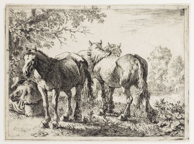 Három ló a mezőn alkotó: Pieter van Laer