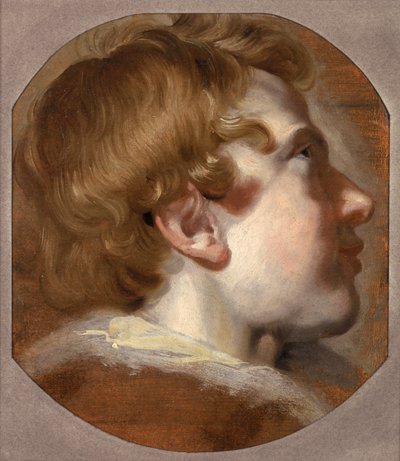 Egy fiatal fiú feje, 1620-as évek (olaj, papír) alkotó: Pieter van Mol